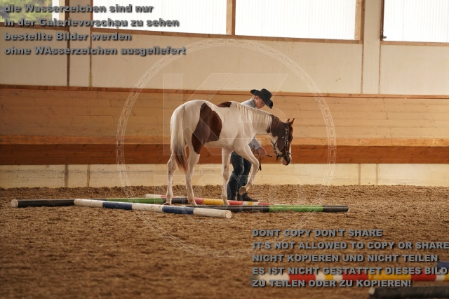 s_A_901180.JPG